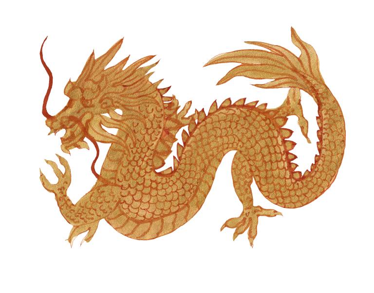 12岁属龙是哪一年出生的人（12岁龙人出生年份）  第1张