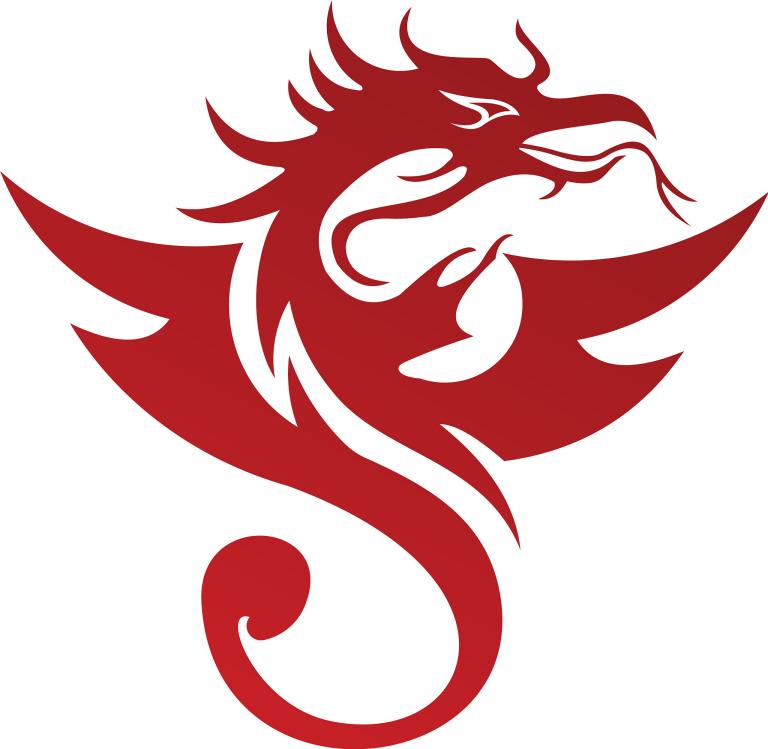 属龙的女性适合佩戴什么（属龙女性饰品佩戴指南）  第3张
