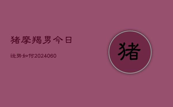 猪摩羯男今日运势如何(20240605)  第1张