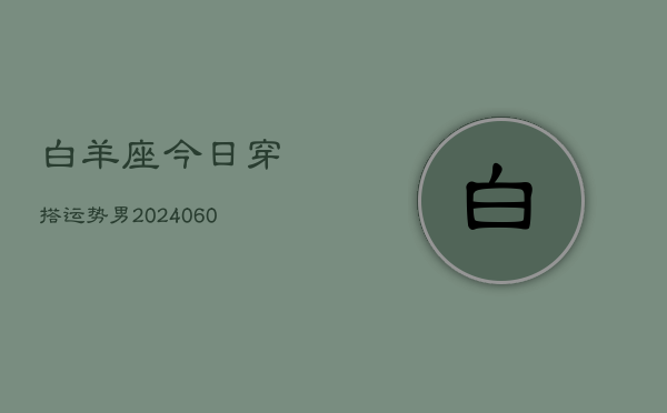 白羊座今日穿搭运势男(20240610)  第1张