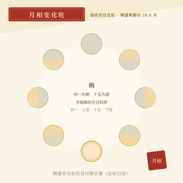 农历一个月内月相变化轮：新月上弦满月下弦