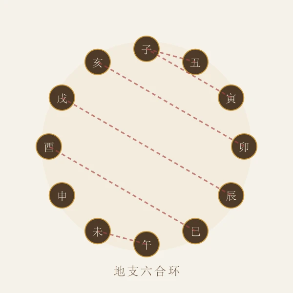 地支六合关系环形图