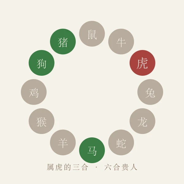 属虎三合六合贵人生肖图