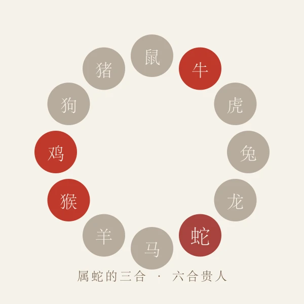 属蛇三合六合贵人生肖图