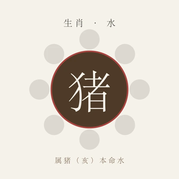 属猪生肖主题形象图，配水行本命色
